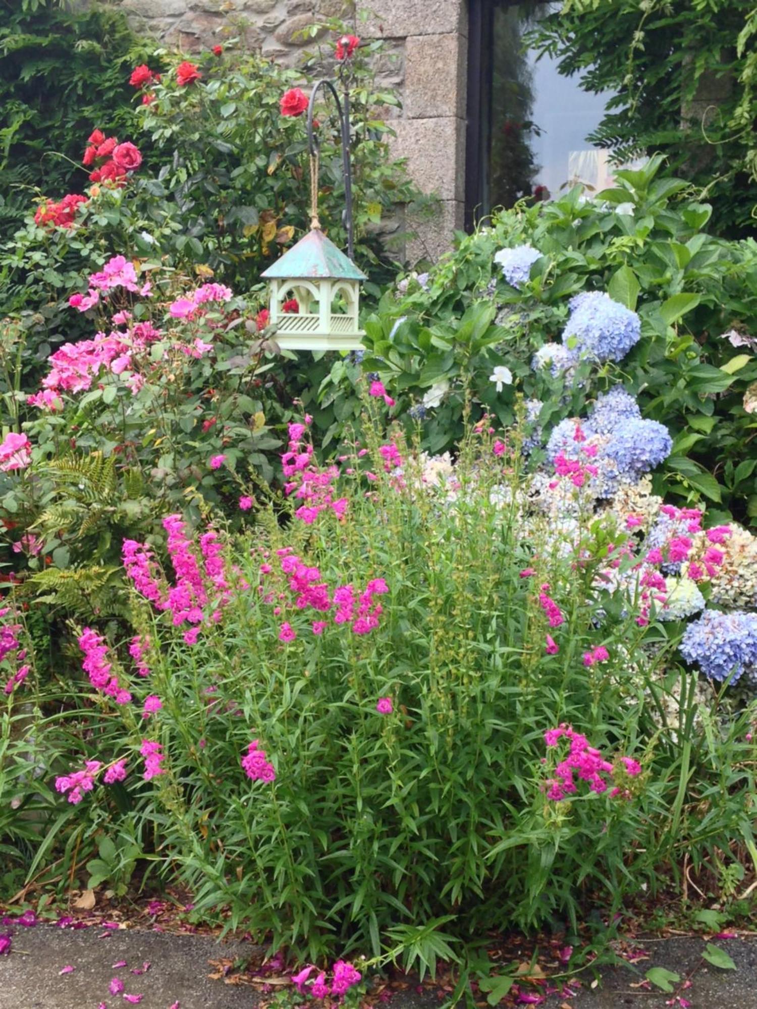 Le Petit Chateau, Matisse Noyal-Pontivy エクステリア 写真