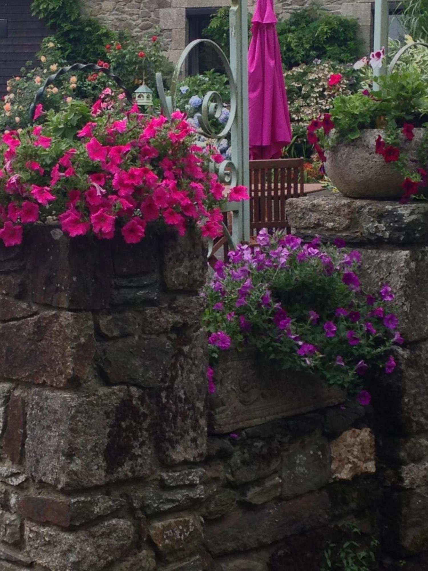 Le Petit Chateau, Matisse Noyal-Pontivy エクステリア 写真