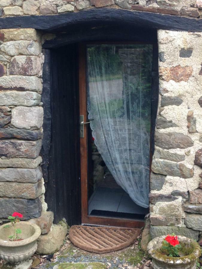 Le Petit Chateau, Matisse Noyal-Pontivy エクステリア 写真